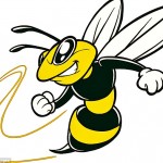 wasp