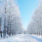 winter