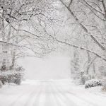 blizzard
