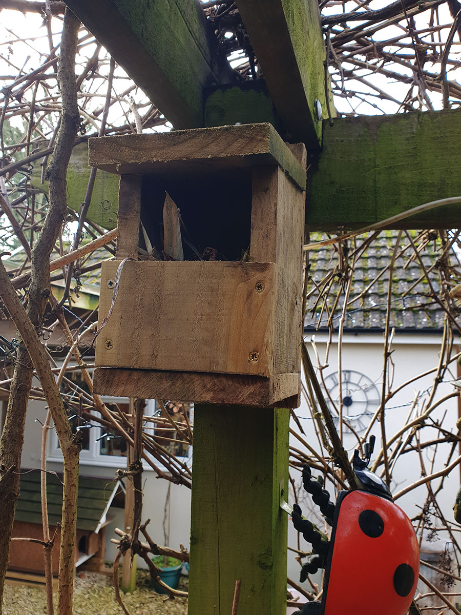 nesting_box – Lynne Allbutt